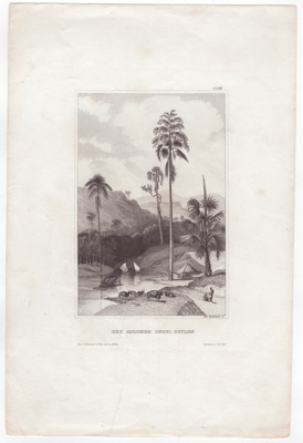 Bey Colombo (Insel Ceylon)